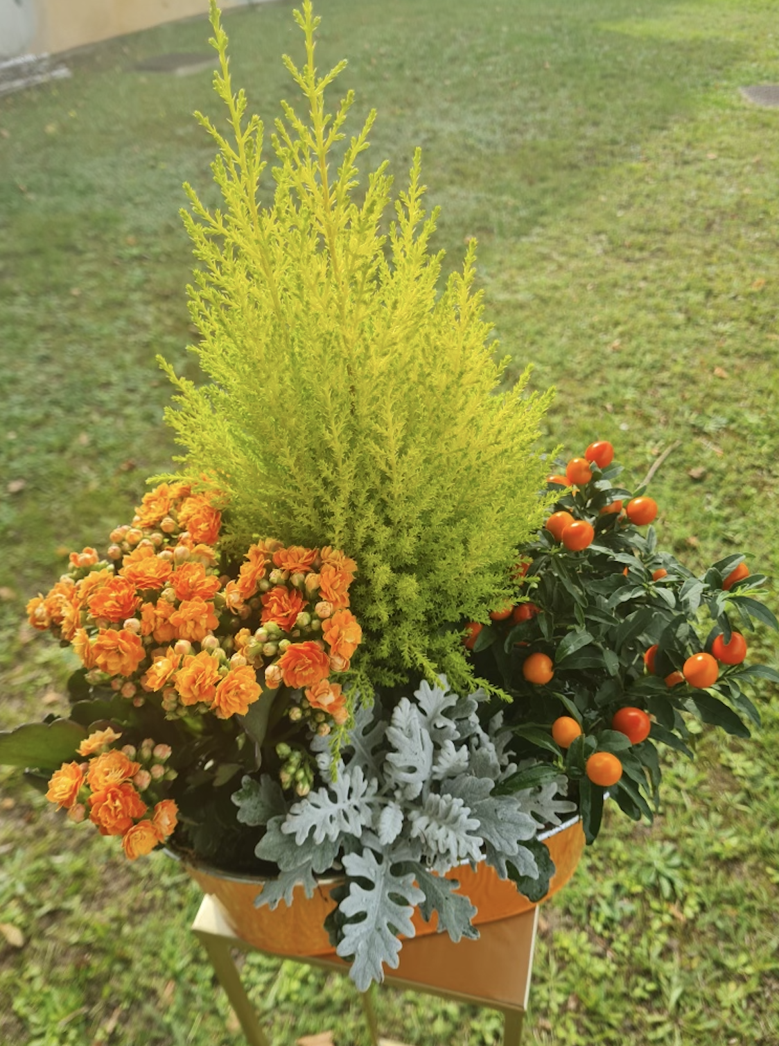 Composition extérieure pour le cimetière à l'occasion de la toussaint - Fleuriste Côté Fleurs Création à Roanne 