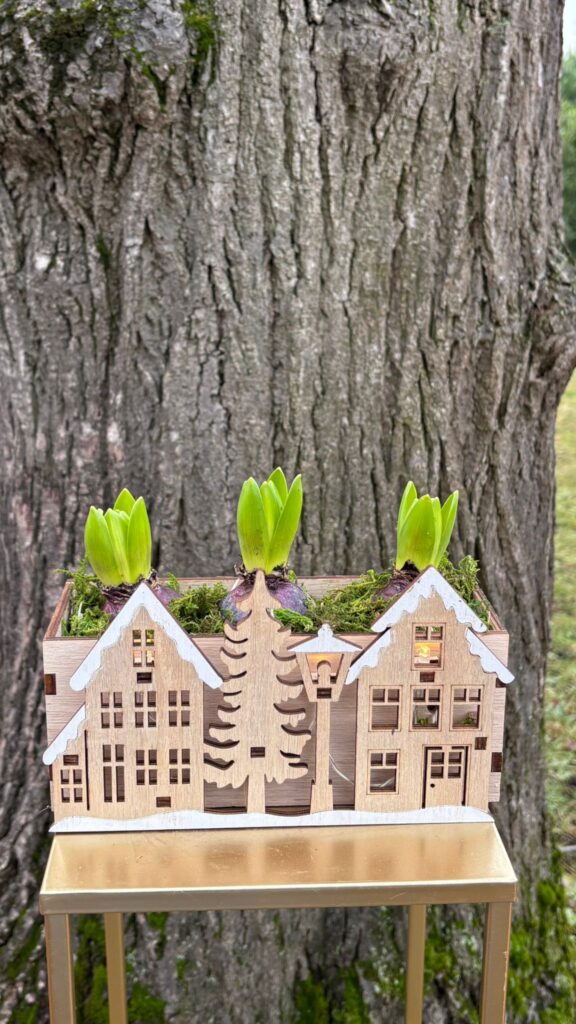 Fleuriste Côté Fleurs Création à Roanne - Idées cadeaux pour les fêtes de fin d'année - Noël